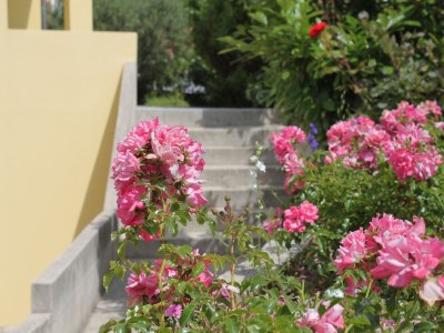Apartment One bedroom apartment with terrace and sea view Nerezine, Lošinj A-3451-c - Outdoor photo 11