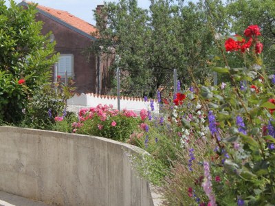 Apartment One bedroom apartment with terrace and sea view Nerezine, Lošinj A-3451-c - Outdoor photo 13