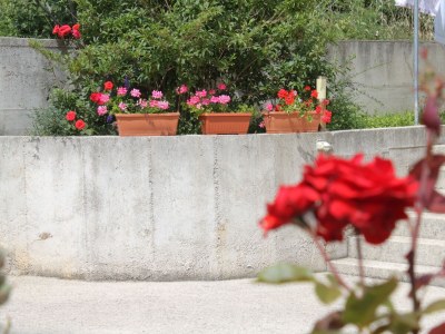 Apartment One bedroom apartment with terrace and sea view Nerezine, Lošinj A-3451-c - Outdoor photo 14