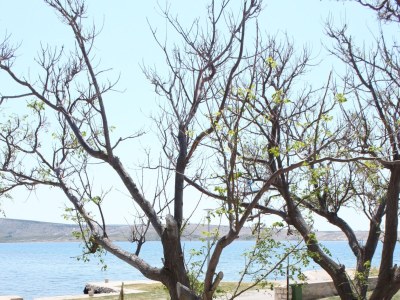 Apartment Three bedroom apartment near beach Kustići, Pag A-6355-a - Outdoor photo 8