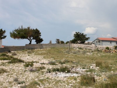 Apartment Three bedroom apartment near beach Kustići, Pag A-6355-a - Outdoor photo 10