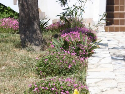 Apartment Two bedroom apartment near beach Kustići, Pag A-6355-d - Outdoor photo 13