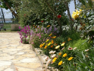 Apartment Two bedroom apartment with terrace and sea view Povljana, Pag A-230-b - Outdoor photo 9