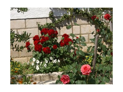 Apartment Two bedroom apartment with terrace and sea view Povljana, Pag A-230-b - Outdoor photo 10