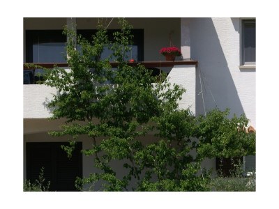Apartment Two bedroom apartment with terrace and sea view Povljana, Pag A-230-b - Outdoor photo 16