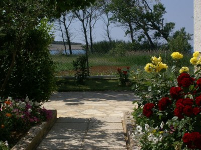 Apartment Two bedroom apartment with terrace and sea view Povljana, Pag A-230-c - Outdoor photo 15