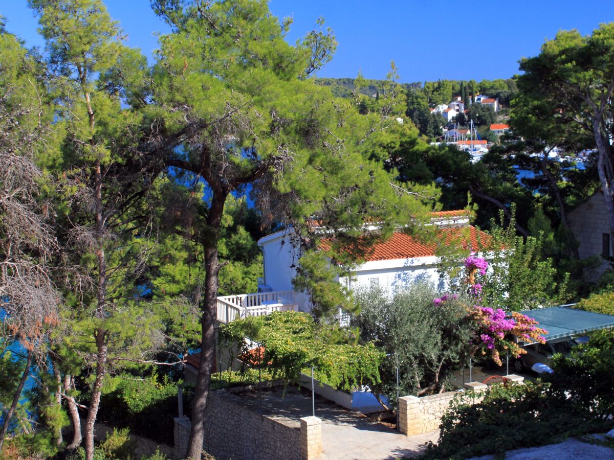 Apartment Three bedroom apartment near beach Lumbarda, Korčula A-135-a - Outdoor photo 4