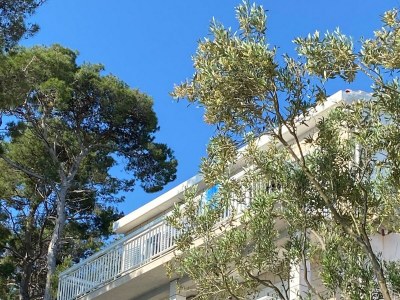 Apartment Three bedroom apartment near beach Lumbarda, Korčula A-135-a - Outdoor photo 2