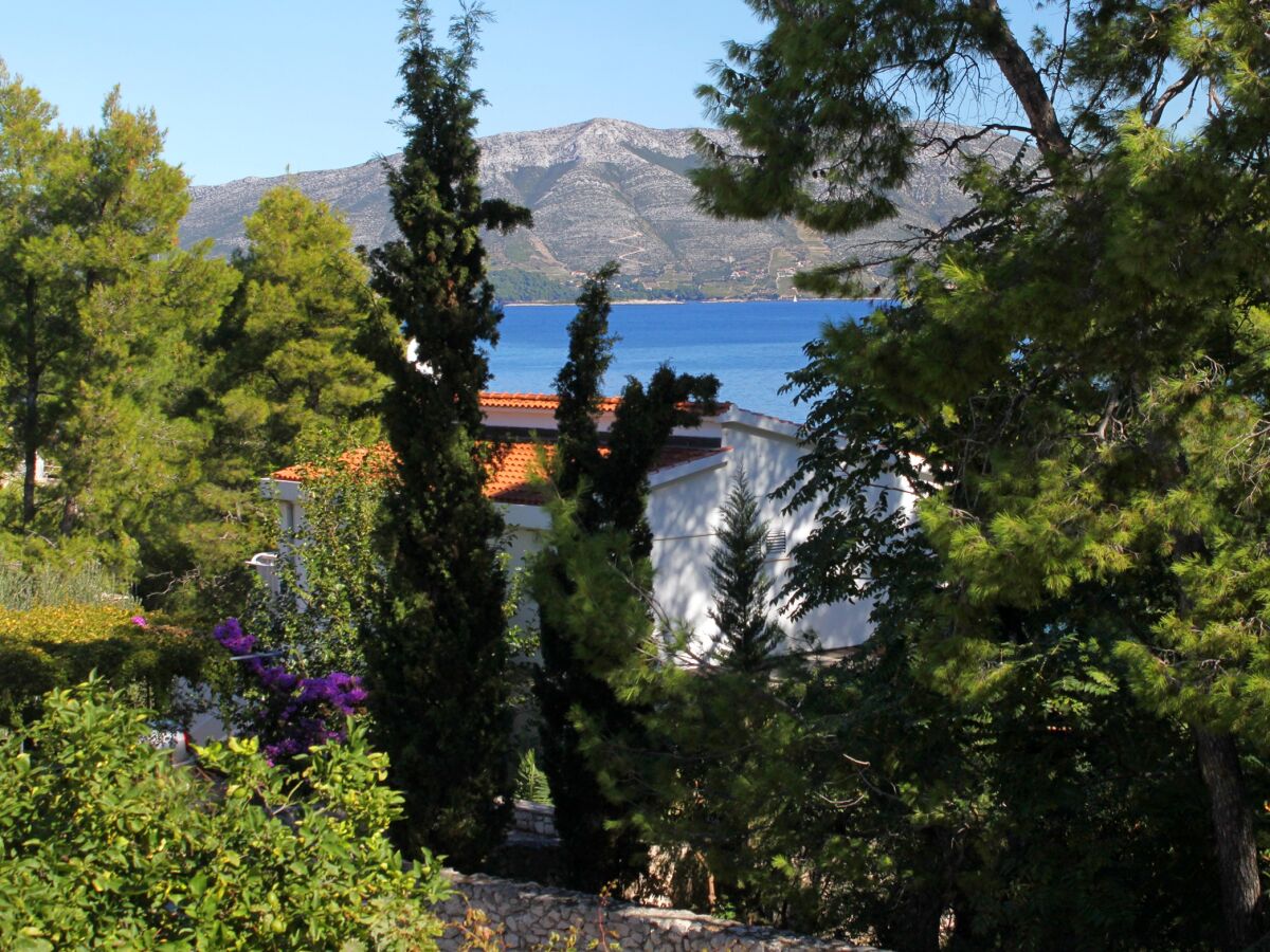 Apartment Two bedroom apartment near beach Lumbarda, Korčula A-135-b - Outdoor photo 3