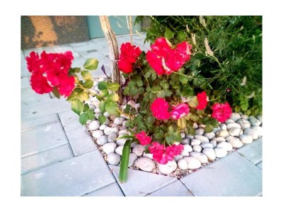 Apartment One bedroom apartment with air-conditioning Starigrad, Paklenica A-11683-a - Outdoor photo 2
