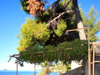 Apartment Two bedroom apartment near beach Prižba, Korčula A-176-a - Outdoor photo 7