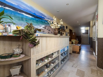 Apartment Two bedroom apartment with terrace and sea view Tučepi, Makarska A-22384-b - Outdoor photo 9