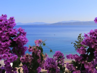 Apartment One bedroom apartment near beach Igrane, Makarska A-6653-c in Igrane - Apartment