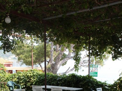Apartment Studio flat near beach Igrane, Makarska AS-6653-a - Outdoor photo 6