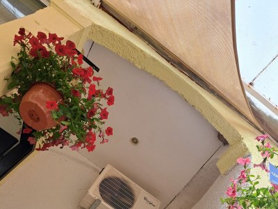 Apartment One bedroom apartment with terrace and sea view Selce, Crikvenica A-22935-c - Outdoor photo 6