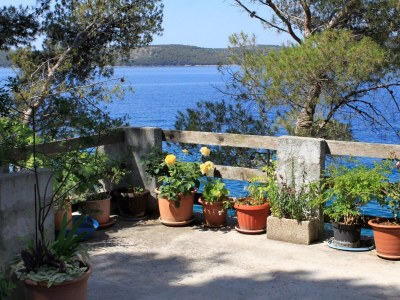 Apartment Two bedroom apartment near beach Lavdara, Dugi otok A-433-a - Outdoor photo 6