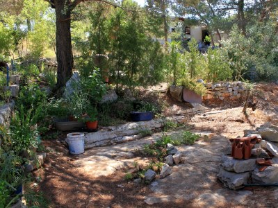 Apartment Two bedroom apartment near beach Lavdara, Dugi otok A-433-a - Outdoor photo 8