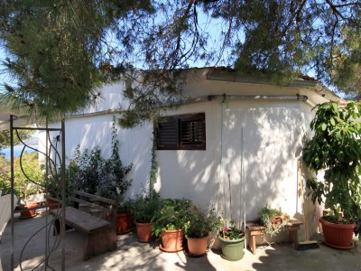 Apartment Two bedroom apartment near beach Lavdara, Dugi otok A-434-a - Outdoor photo 4