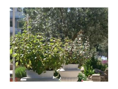 Apartment Two bedroom apartment near beach Stara Novalja, Pag A-234-b - Outdoor photo 11