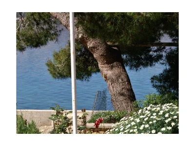 Apartment Two bedroom apartment near beach Stara Novalja, Pag A-234-b - Outdoor photo 12