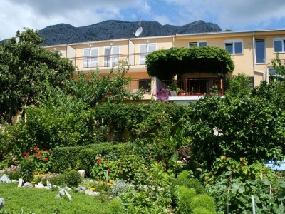 Apartment Two bedroom apartment with terrace and sea view Orebić, Pelješac A-275-b - Outdoor photo 3