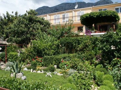 Apartment Two bedroom apartment with terrace and sea view Orebić, Pelješac A-275-d - Outdoor photo 12