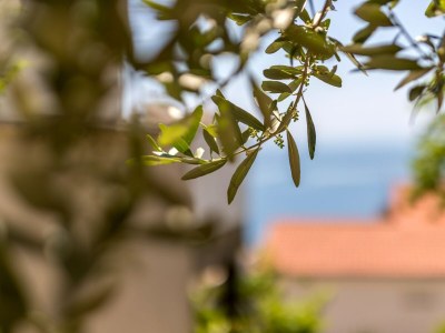 Apartment Studio flat with balcony and sea view Baška Voda, Makarska AS-301-a - Outdoor photo 4