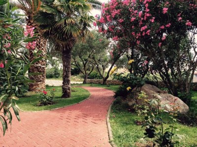 Apartment Two bedroom apartment with terrace Povljana, Pag A-244-c - Outdoor photo 12