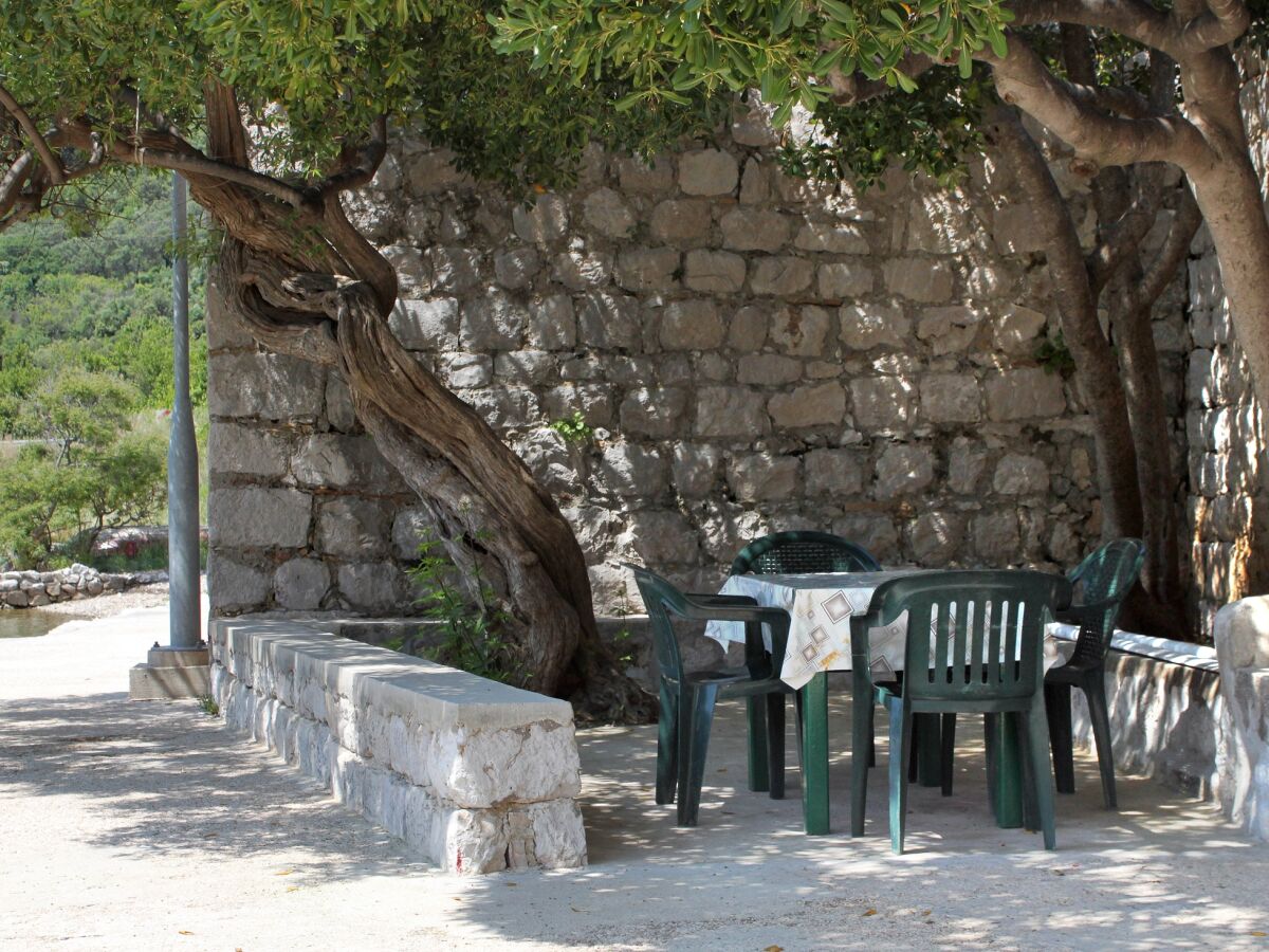 Holiday room near beach Zaton Mali, Dubrovnik S-8997-d