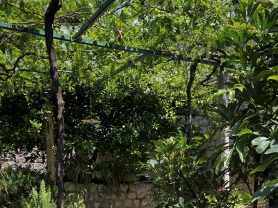 Holiday room near beach Zaton Mali, Dubrovnik S-8997-d - Outdoor photo 14