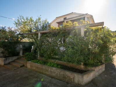 Apartment Two bedroom apartment with terrace Sali, Dugi otok A-910-a - Outdoor photo 8