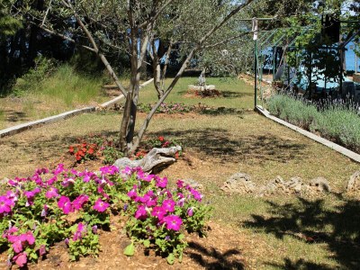 Apartment Two bedroom apartment near beach Tkon, Pašman A-698-a - Outdoor photo 12