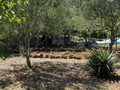 Apartment Two bedroom apartment near beach Tkon, Pašman A-698-b - Outdoor photo 14