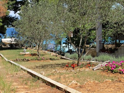 Apartment Studio flat near beach Tkon, Pašman AS-698-a - Outdoor photo 11