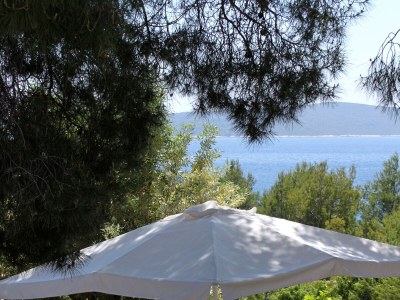 Apartment Two bedroom apartment with terrace and sea view Zavala, Hvar A-594-b - Outdoor photo 8