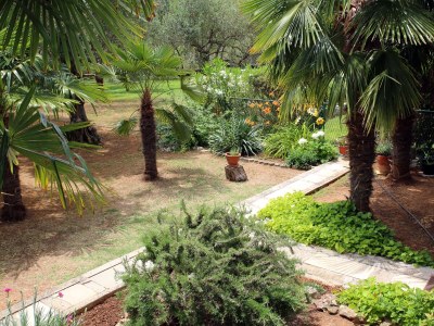 Apartment One bedroom apartment with terrace Vodice A-928-b - Outdoor photo 5