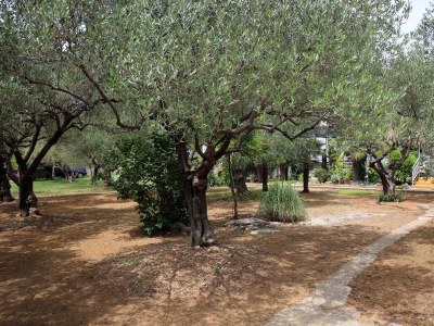 Apartment One bedroom apartment with terrace Vodice A-928-b - Outdoor photo 8