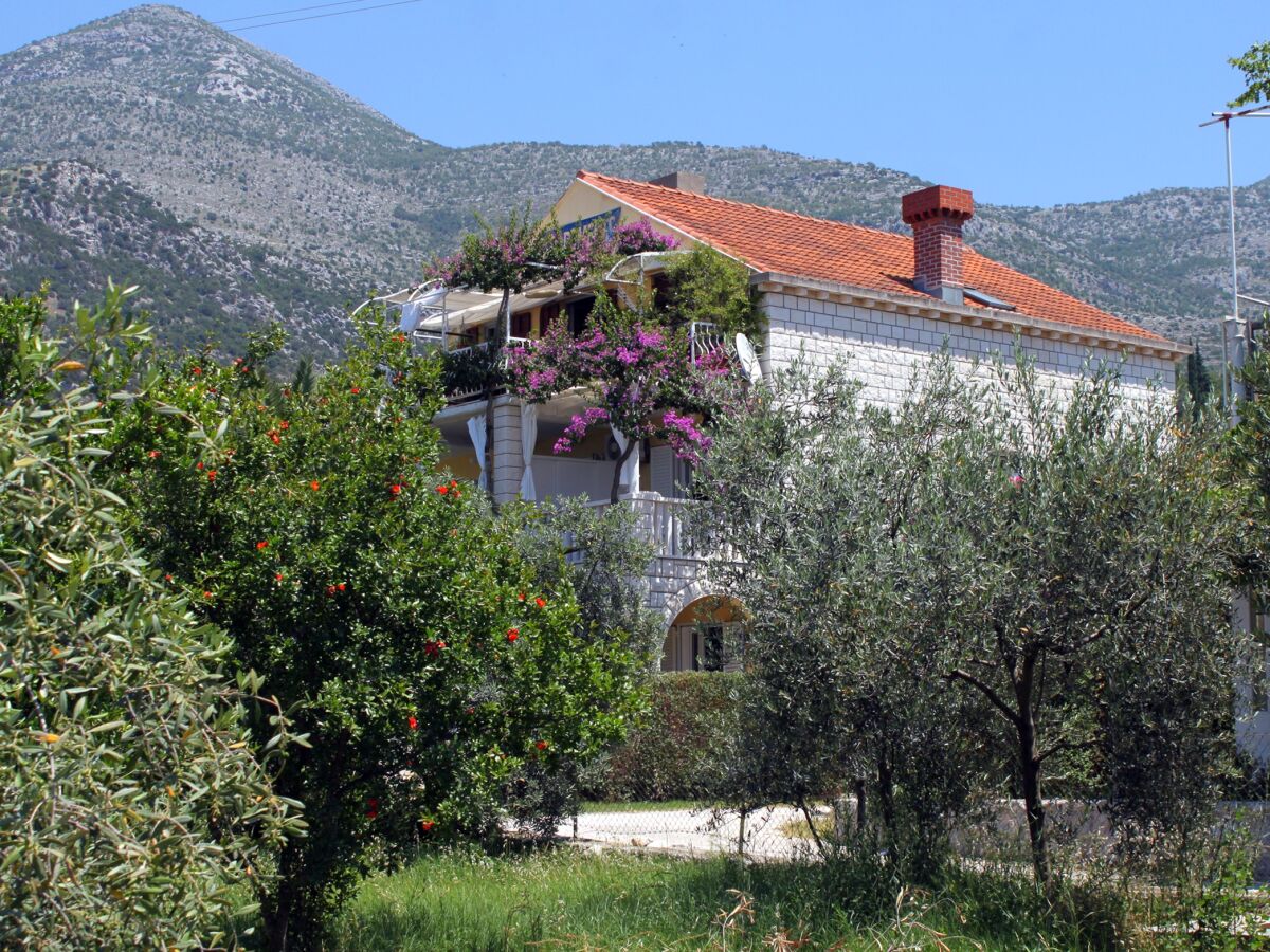 Apartment One bedroom apartment with terrace Slano, Dubrovnik A-2179-b - Outdoor photo 4