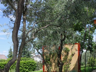 Apartment Two bedroom apartment with terrace and sea view Njivice, Krk A-2391-a - Outdoor photo 21