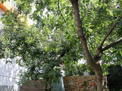 Apartment Two bedroom apartment with terrace Njivice, Krk A-2391-b - Outdoor photo 16