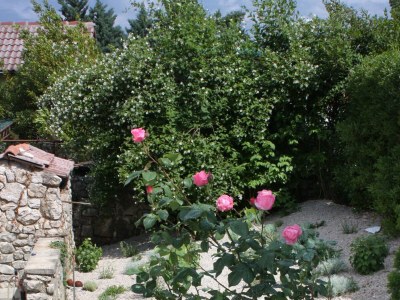 Apartment Two bedroom apartment with terrace Njivice, Krk A-2391-b - Outdoor photo 17
