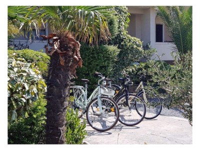 Apartment Two bedroom apartment with terrace and sea view Barbat, Rab A-21809-b - Outdoor photo 2