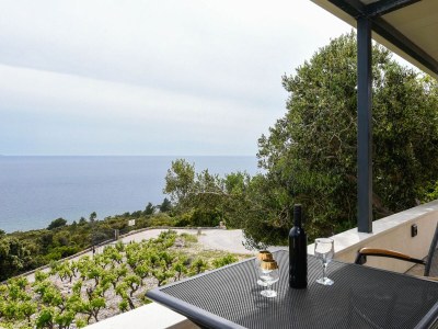 Holiday house One bedroom house with terrace and sea view Dingač - Pristranj, Pelješac K-660 - Outdoor photo 25