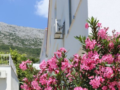 Apartment One bedroom apartment near beach Kučište - Perna, Pelješac A-4545-e - Outdoor photo 10