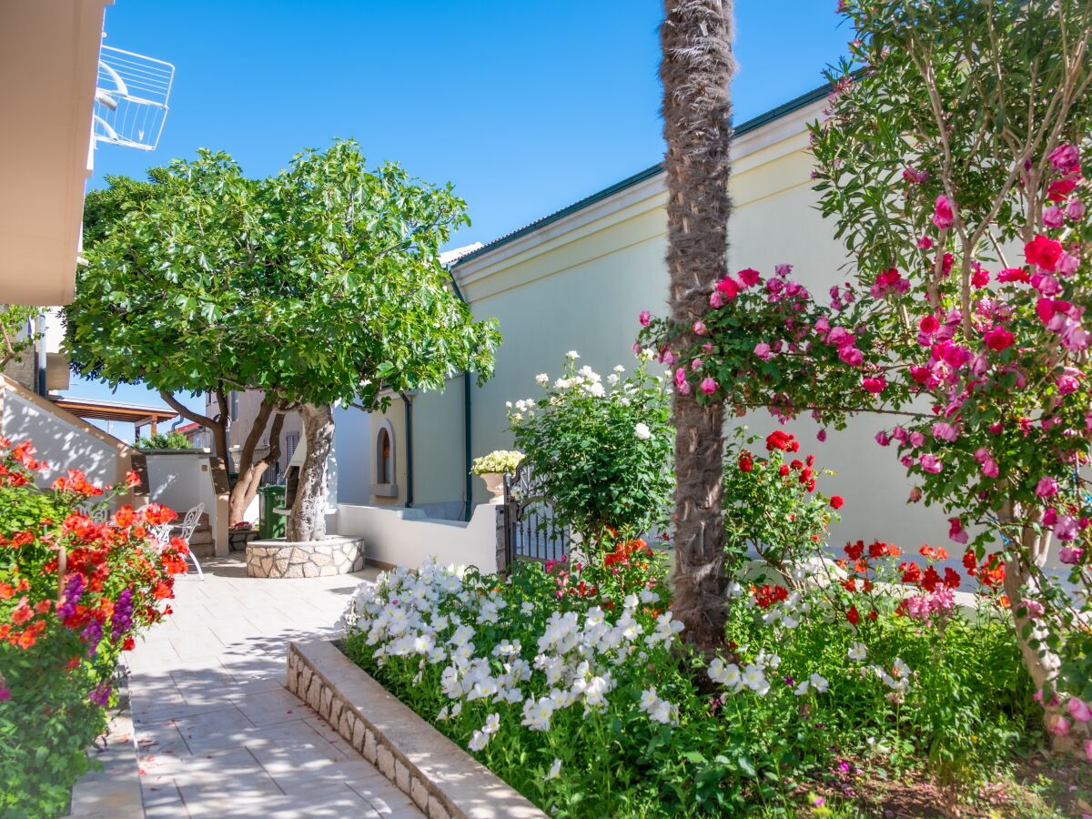 Apartment Studio flat with terrace Povljana, Pag AS-233-a - Outdoor photo 4
