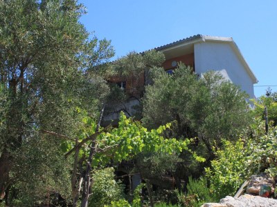 Apartment One bedroom apartment with balcony and sea view Valun, Cres A-386-b - Outdoor photo 8