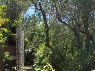 Apartment One bedroom apartment with balcony and sea view Valun, Cres A-386-b - Outdoor photo 11