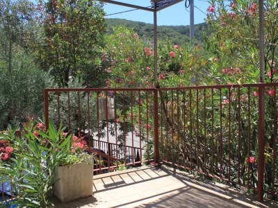 Apartment One bedroom apartment with balcony and sea view Valun, Cres A-386-b - Outdoor photo 12