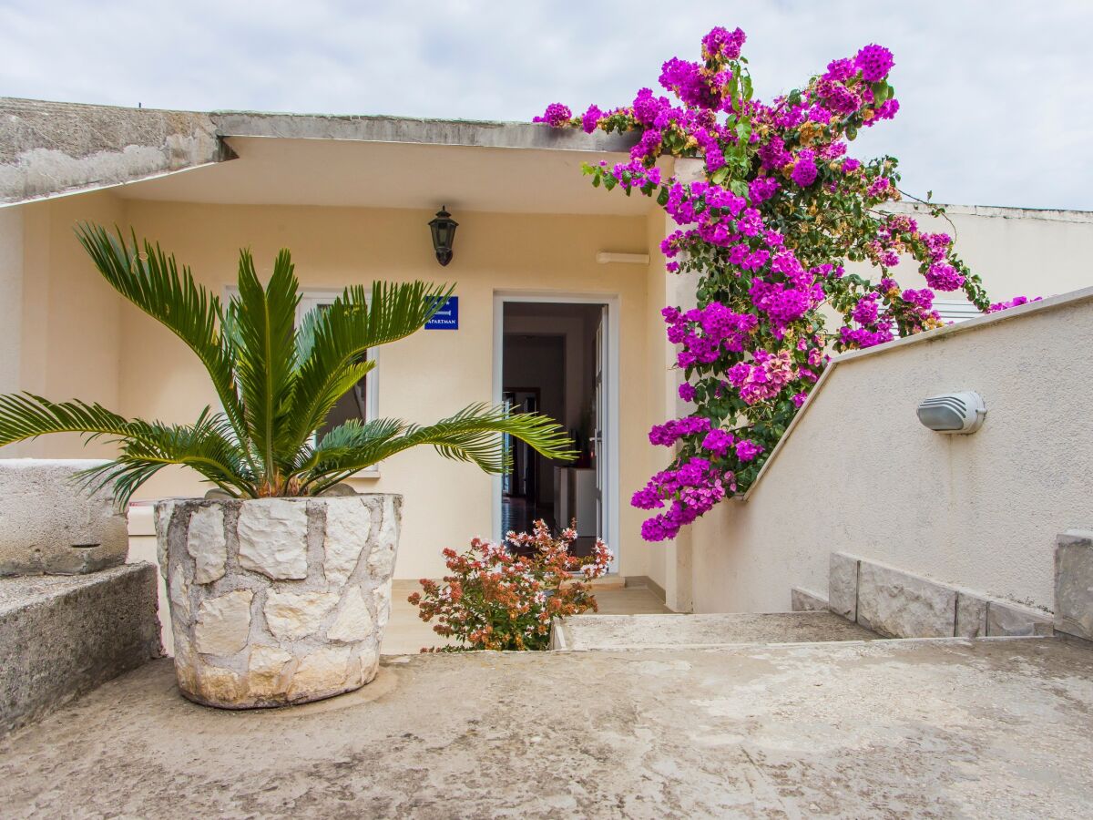 Apartment Two bedroom apartment near beach Luka Dubrava, Pelješac A-24568-a - Outdoor photo 4