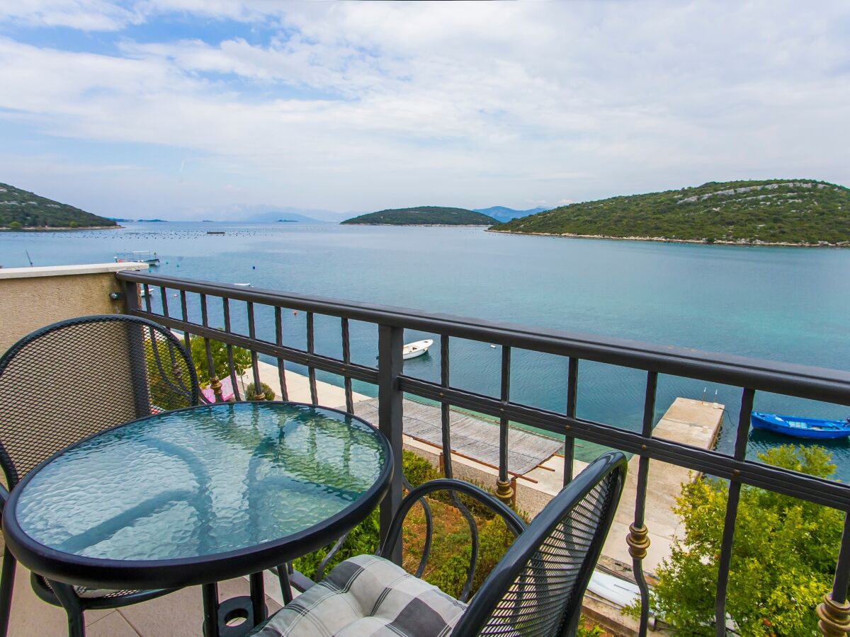 Apartment One bedroom apartment near beach Luka Dubrava, Pelješac A-24568-c